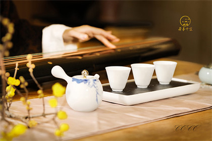 生普洱茶和熟普洱茶的区别